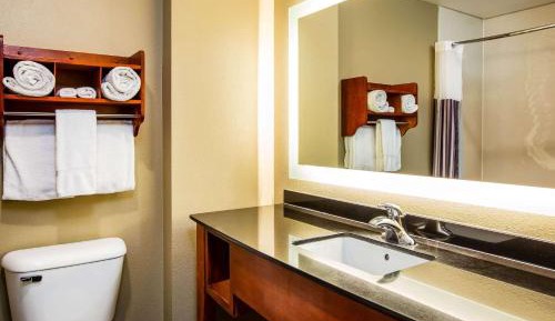 Deluxe King Suite - Non-Smoking