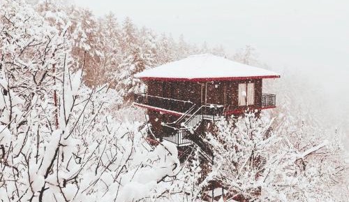 Junior Suite with Mountain View