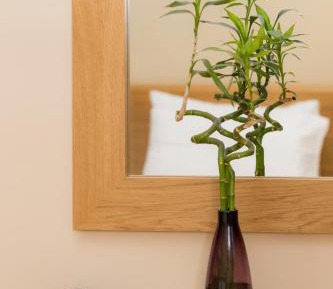 Comfort Single Room