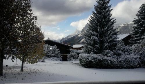 One-Bedroom Apartment (6 Adults)