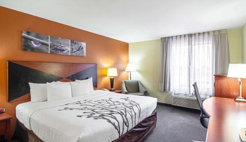 King Room