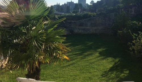 King Room with Garden View