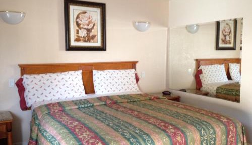 Single Room - Disability Access
