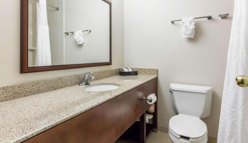 Queen Room with Two Queen Beds -  Pet Friendly Non-Smoking