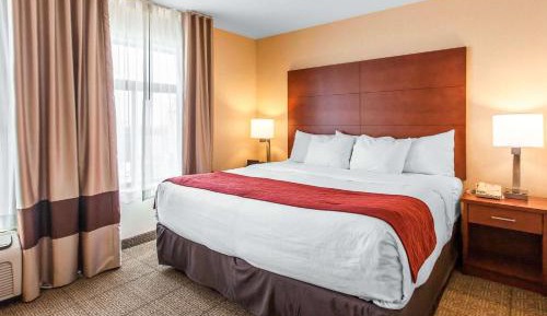 King Room with Roll-in-Shower - Accessible/Non-Smoking