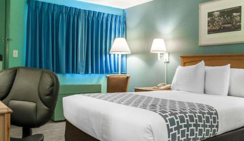 Standard Double Room - Non-Smoking