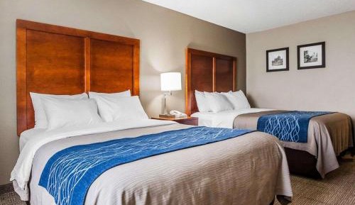 Queen Room with Two Queen Beds - Non-Smoking