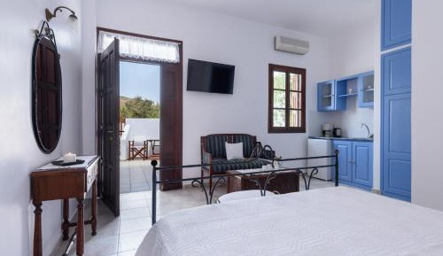 Standard Studio with Shared Terrace