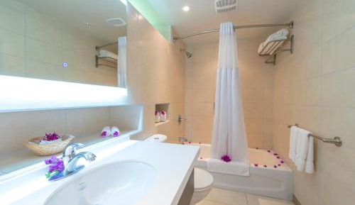 Deluxe King Suite