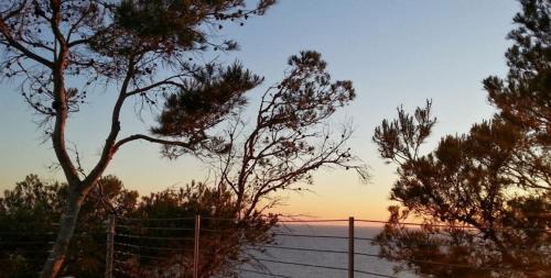 Bungalow with Sea View