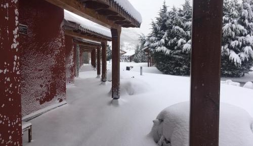 Standard Twin Room with Garden View