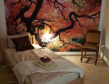 Single Room with Shared Bathroom