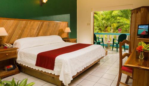 King or Double Room with Garden View