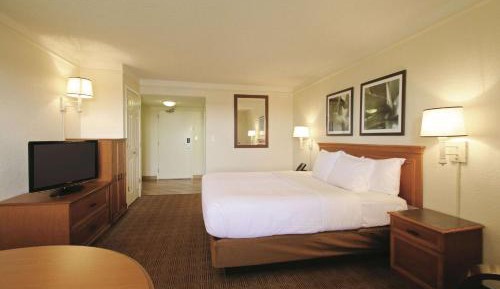 King Room - Pet Friendly/Non-Smoking