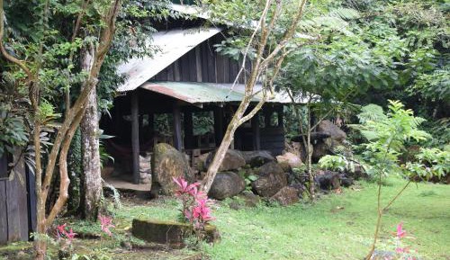 Family Bungalow