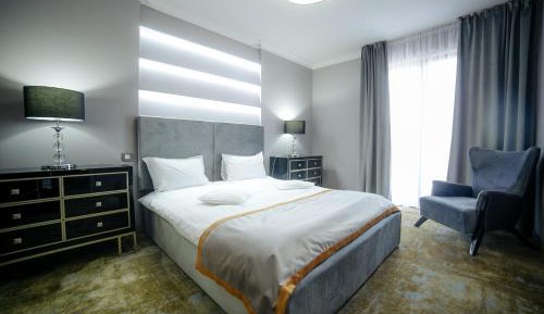 Deluxe One-Bedroom Apartment