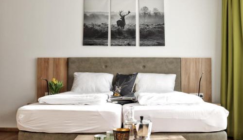 Komfort Double Room with Terrace