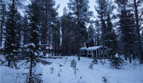 Small Wilderness Suite