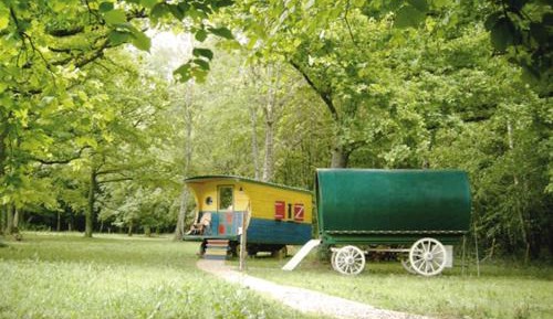 Mobile Home
