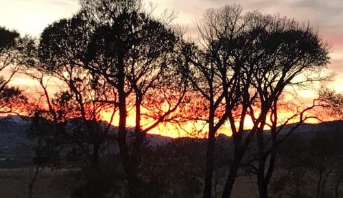 Private Waterfront Cabin