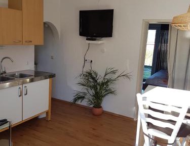 Apartment with Shower