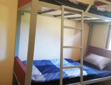Bed in 4-Bed Mixed Dormitory Room