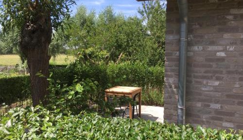 Double Room with Garden View and Terrace