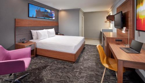 King Suite