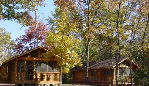Deluxe Studio Cabin