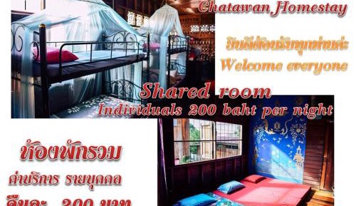 Bunk Bed in Mixed Dormitory Room