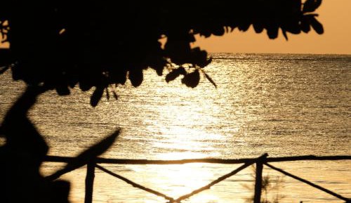 Executive Villa with Private Pool