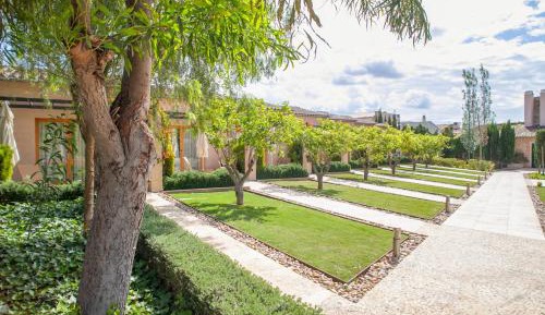 Double or Twin Room with Terrace