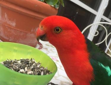 Tuscan-Style with En Suite