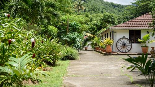 Double Room with Garden View