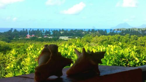 Studio Apartment with Sea View