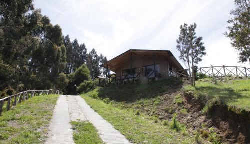 Medium cabin 1 with ocean view