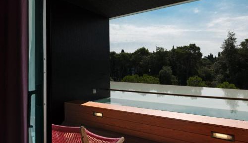 Deluxe Plunge Pool Room