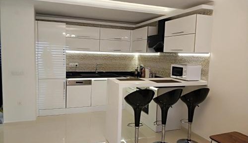 One-Bedroom Apartment with Balcony and Mountain View  