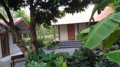 Standard Bungalow