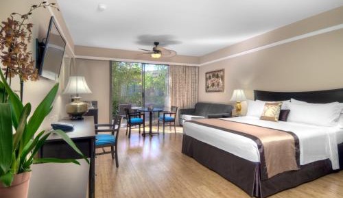 Premier King Room