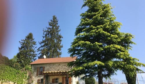 Superior Villa