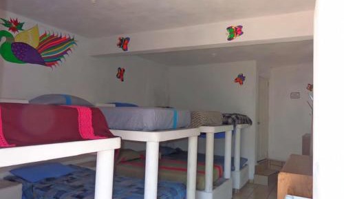 Bed in 8-Bed Dormitory Room