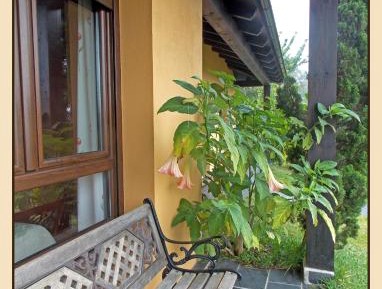 Three-Bedroom Bungalow (6 adults)