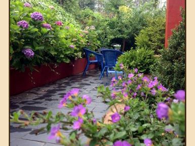 One-Bedroom Apartment (2 Adults)