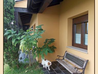 Two-Bedroom Bungalow (4 Adults)