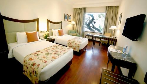 Executive Room - 2 Single Beds