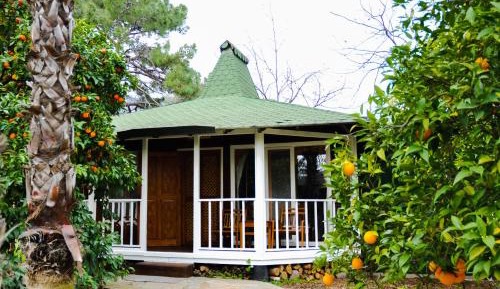 Bungalow - Sea Side