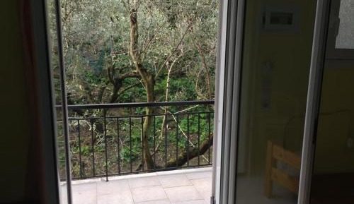 Apartment with Garden View