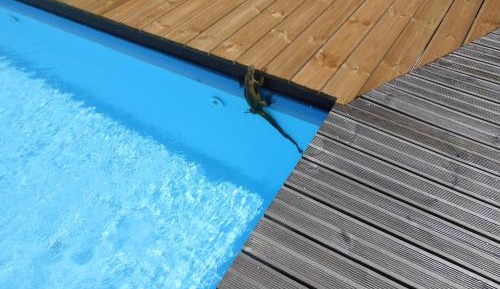 Studio with Sea View