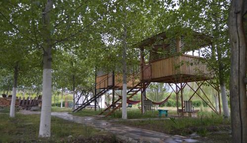 Bungalow